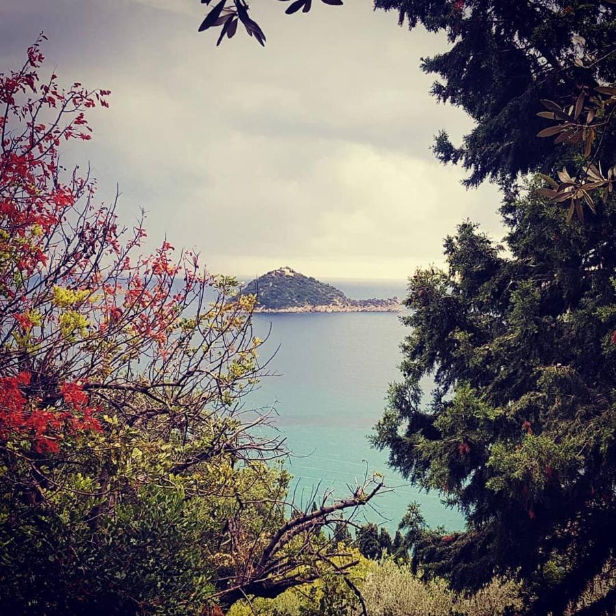 Salvia E Rosmarino - Affittacamere In Liguria Villanova d'Albenga Zewnętrze zdjęcie