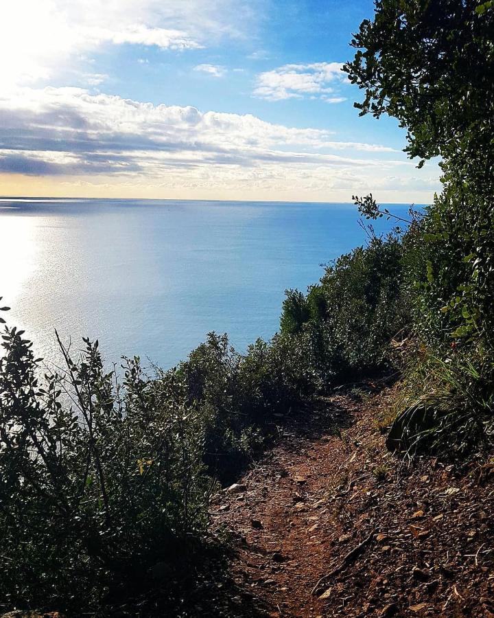 Salvia E Rosmarino - Affittacamere In Liguria Villanova d'Albenga Zewnętrze zdjęcie