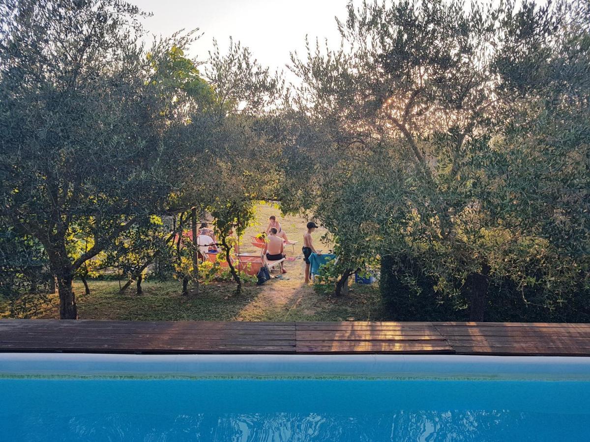 Salvia E Rosmarino - Affittacamere In Liguria Villanova d'Albenga Zewnętrze zdjęcie