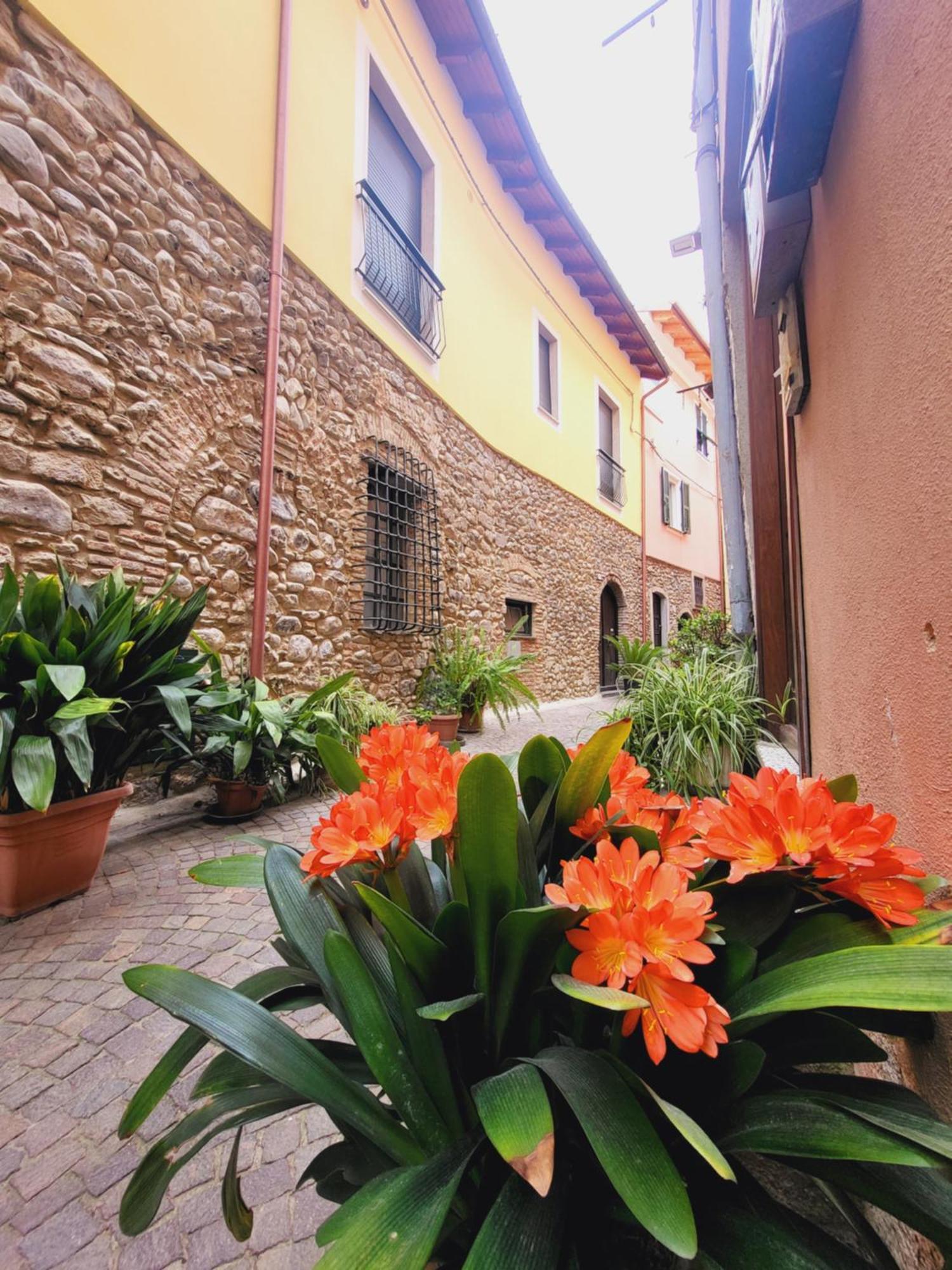 Salvia E Rosmarino - Affittacamere In Liguria Villanova d'Albenga Zewnętrze zdjęcie