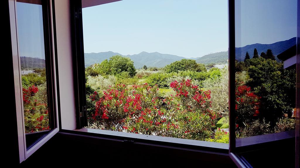 Salvia E Rosmarino - Affittacamere In Liguria Villanova d'Albenga Zewnętrze zdjęcie